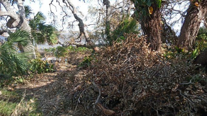 Pre-storm clean-up and property re-vamp